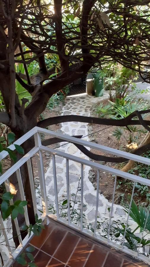 Villa Valkane Pet Friendly 150M From The Stunning Valkane Beach, City Indoor Pools-Fitness And City Mall Pula Exterior foto